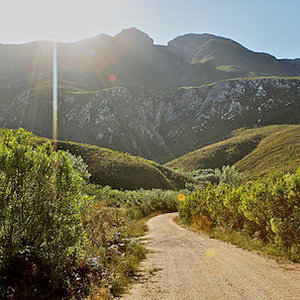 Marloth Nature Reserve (Image courtesy of NightjarTravel)